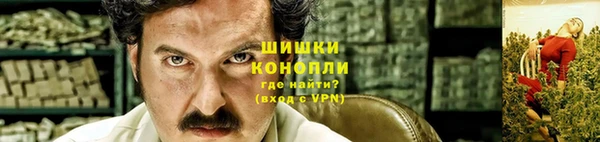 СК Зерноград