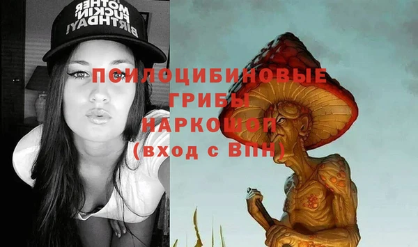 СК Зерноград