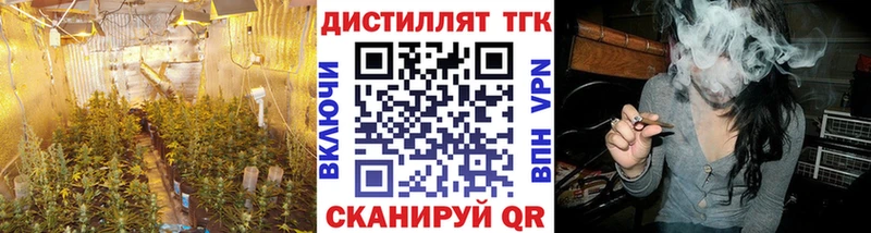Дистиллят ТГК концентрат  Купить закладки  Зуевка 