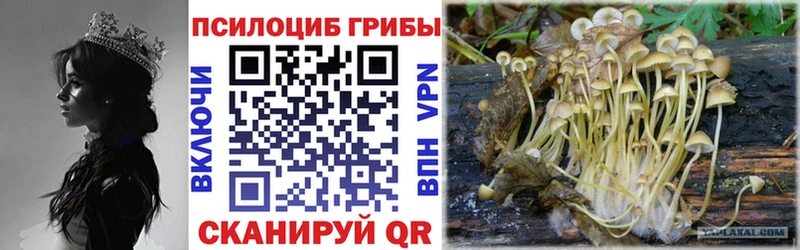 Купить  Зуевка  Галлюциногенные грибы Magic Shrooms 