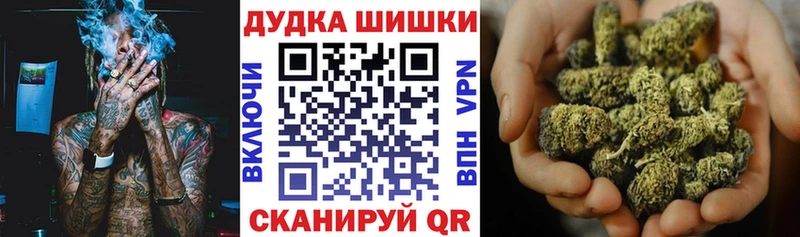 Купить закладки  Зуевка  Конопля Amnesia 